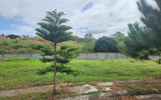 RUSH FIRE SALE Amore at PORTOFINO lot 330sqm