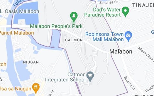 Lot for Sale 3 Hectares Catmon Malabon