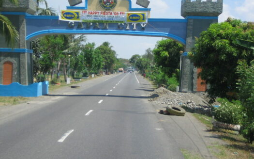 For sale 57.5 hectares lot in Brgy Makabaklay Gapan, Nueva Ecija