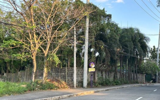 Giraffe Street Greenmeadows near Corinthian Hills Lot for sale or Rent