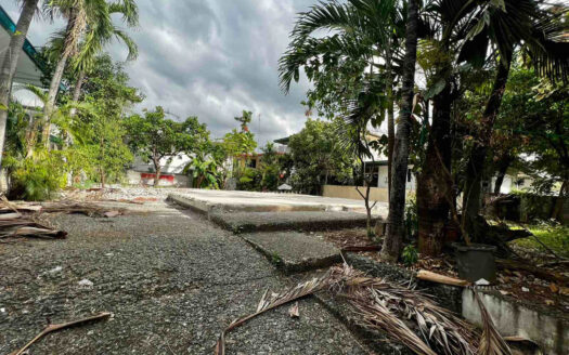 Prime Lot in Magallanes Village, Makati City | 350sqm | As Is Where Is | ₱115M
